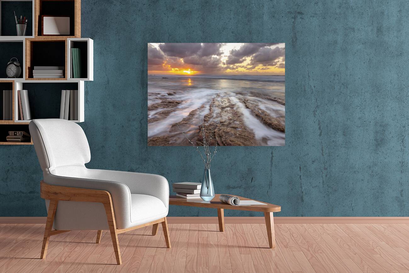 Palmachim beach Reproduction