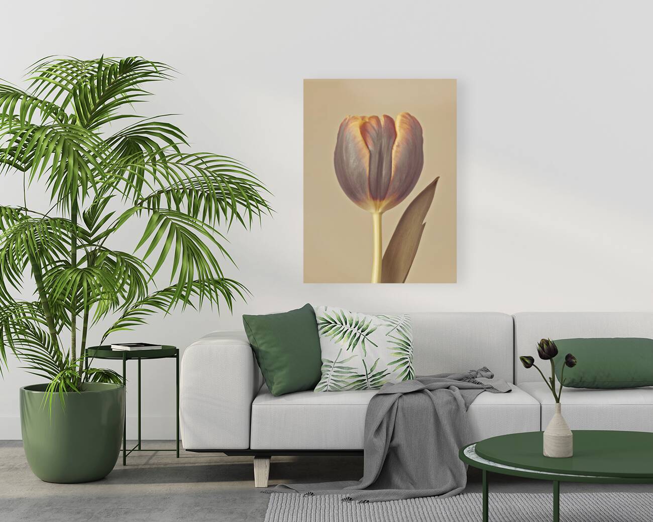 Single Tulip Reproduction