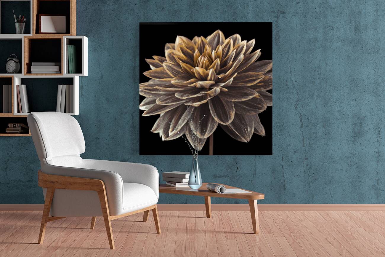 Dahlia flower Reproduction