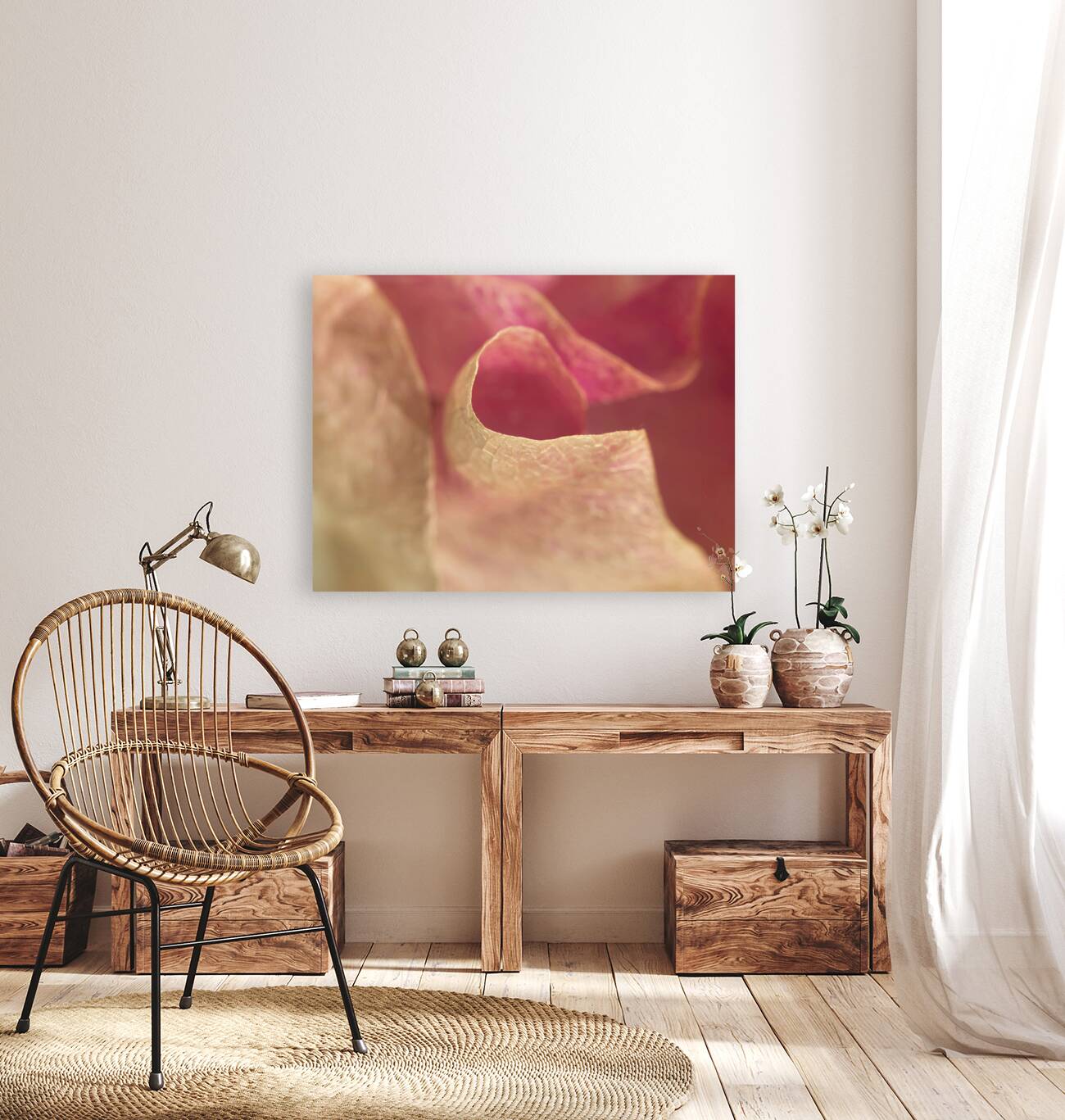 Bougainvillea Reproduction