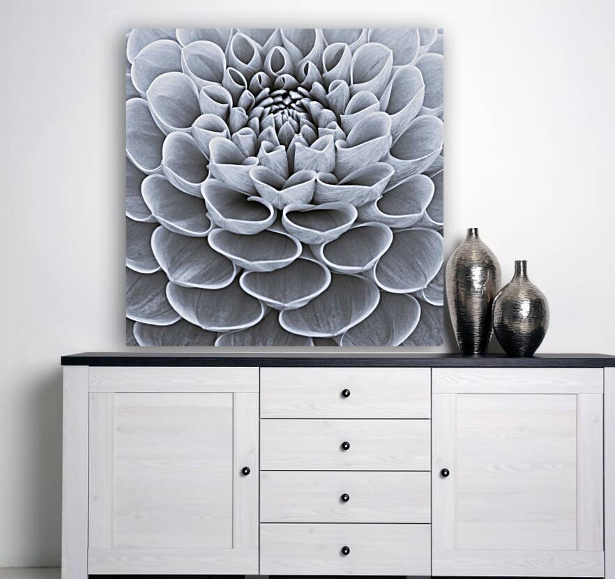 Dahlia Flower Reproduction