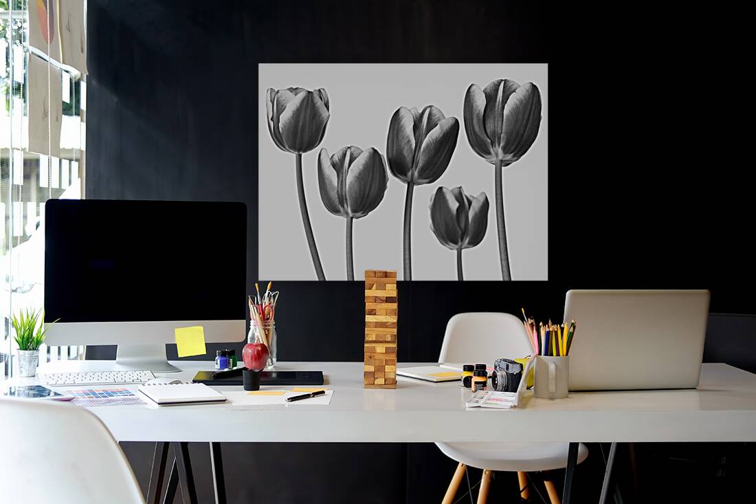 Fresh and Beautiful Tulips Reproduction