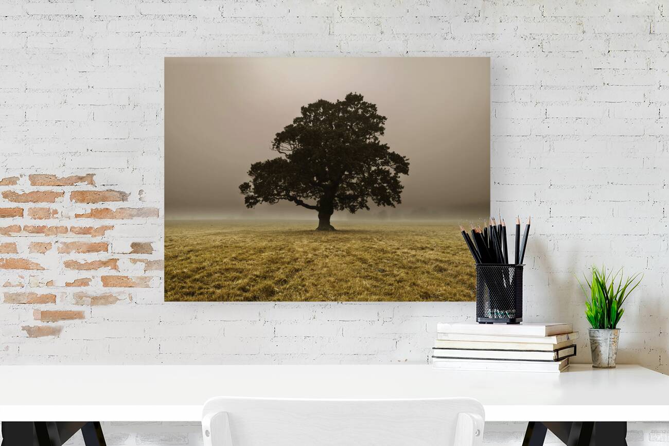 Single Tree Reproduction