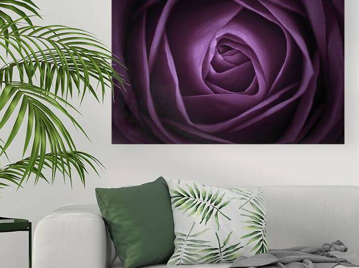 Purple rose Reproduction
