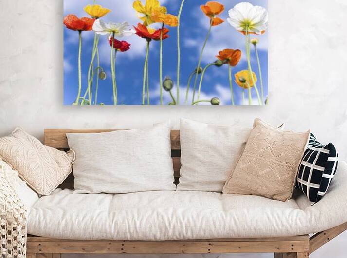 Blue Sky Bouquet by Assaf Frank
