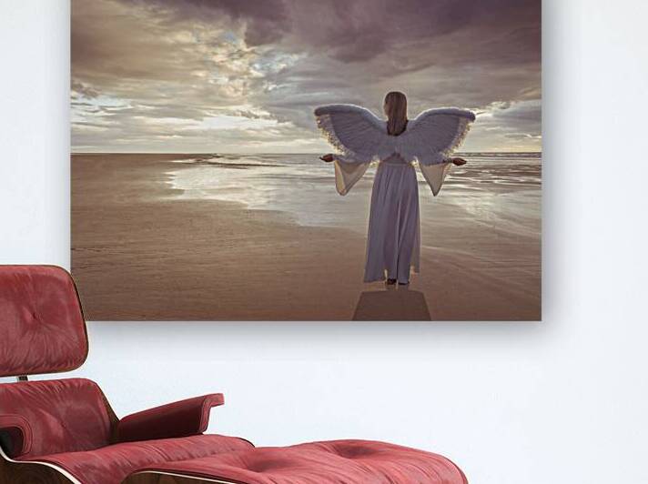 Sea Angel Reproduction