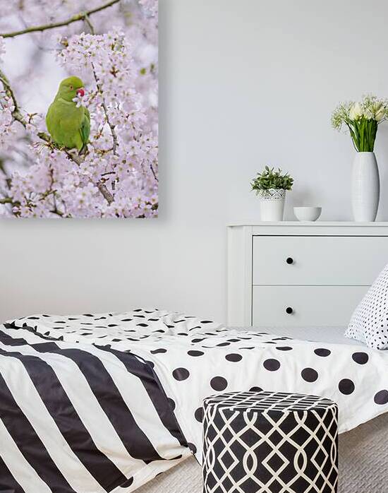 Blossom Bird by Assaf Frank