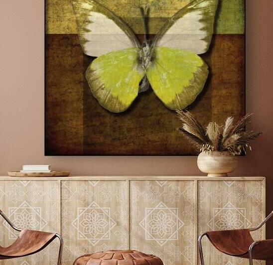 Tropical Butterfly by Assaf Frank