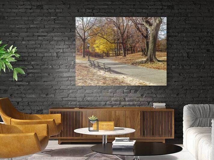Central Park  Reproduction