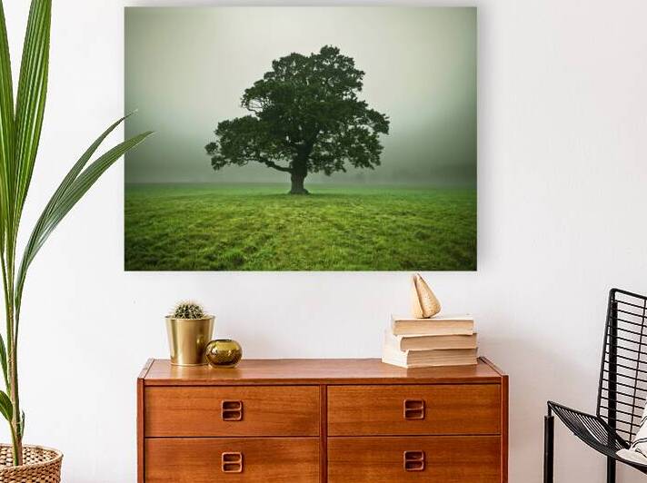 Ethereal Presence Reproduction