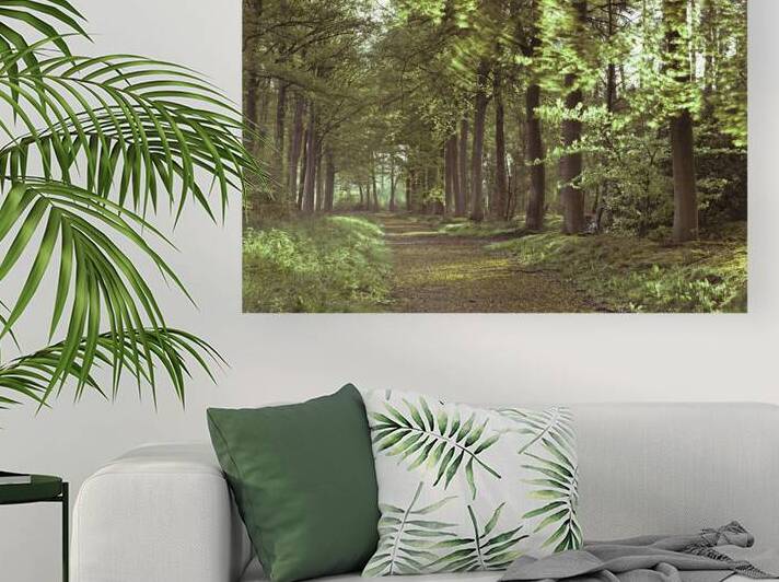 Forest Path Reproduction