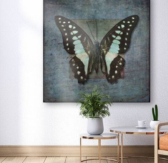 Vintage Butterfly by Assaf Frank