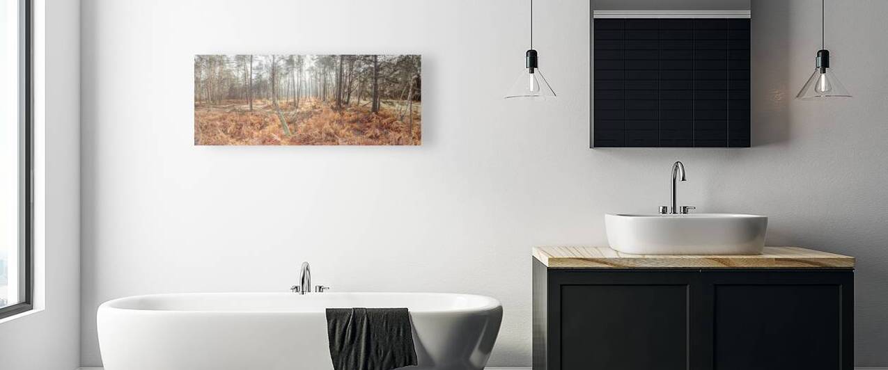 Autumn forest Reproduction