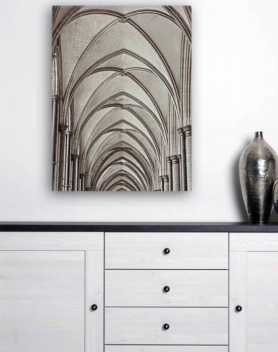 Vaulted Ceiling by Assaf Frank