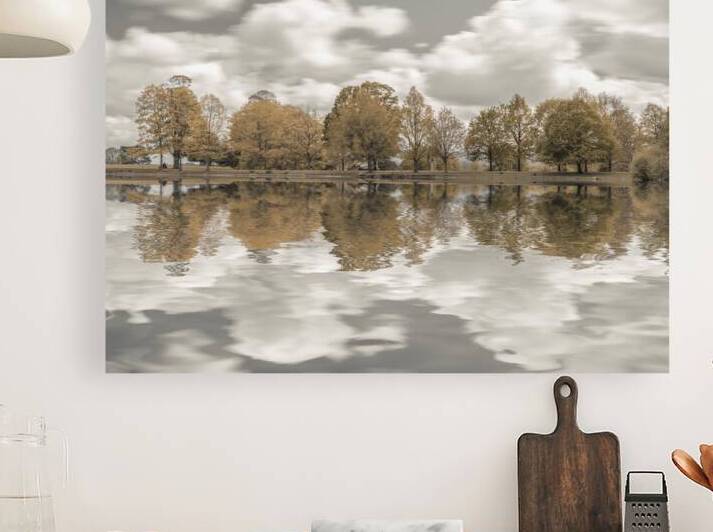 Lakeside Trees by Assaf Frank