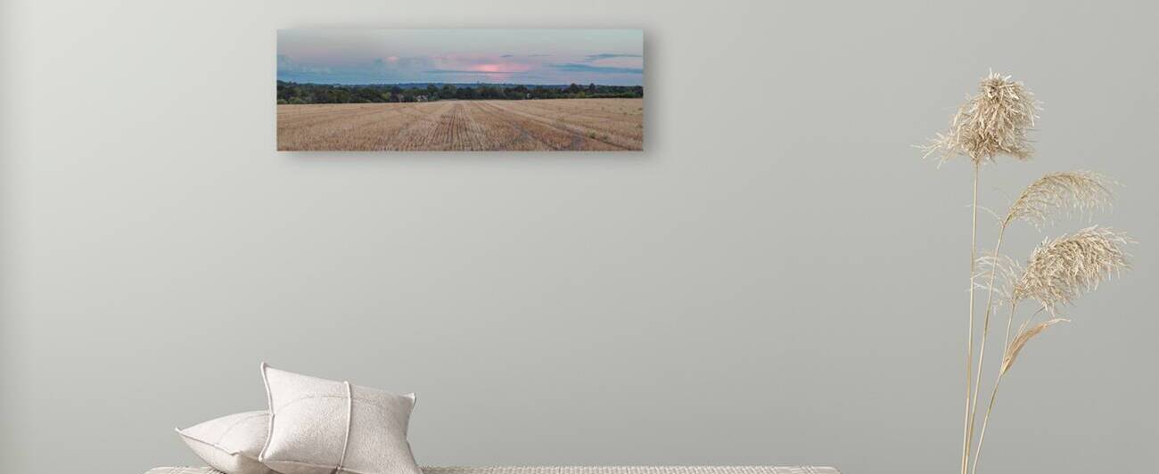 Panoramic view of Wheat Field at sunset by Assaf Frank