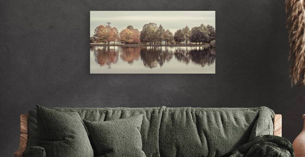 Trees By Lake Reproduction