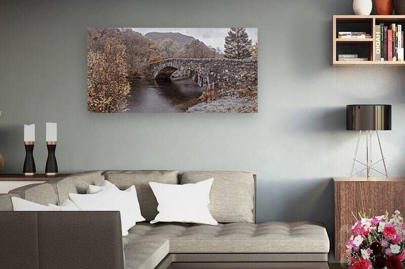 Bridge Amidst Nature by Assaf Frank