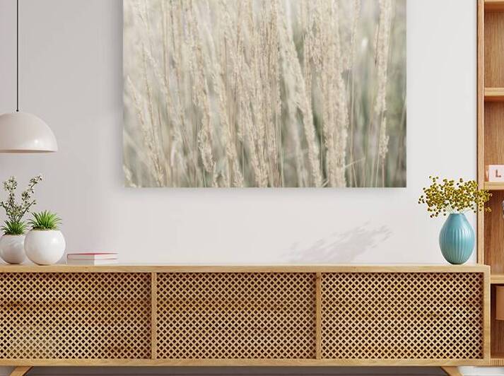 Ornamental Grass by Assaf Frank