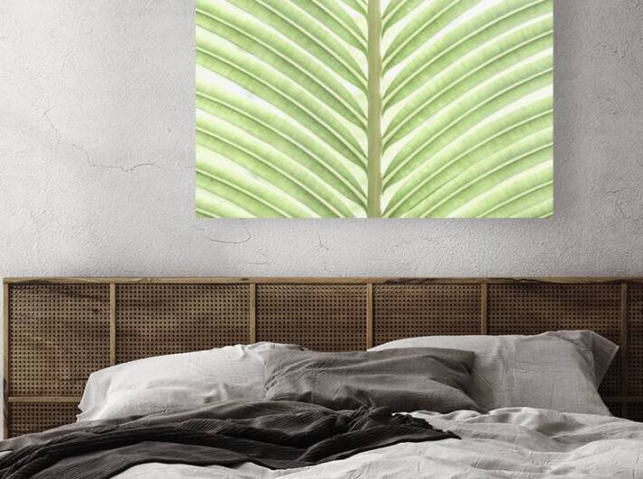 Verdant Leaf Stripes by Assaf Frank