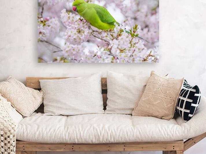 Parrot Among Springtime Blossoms by Assaf Frank