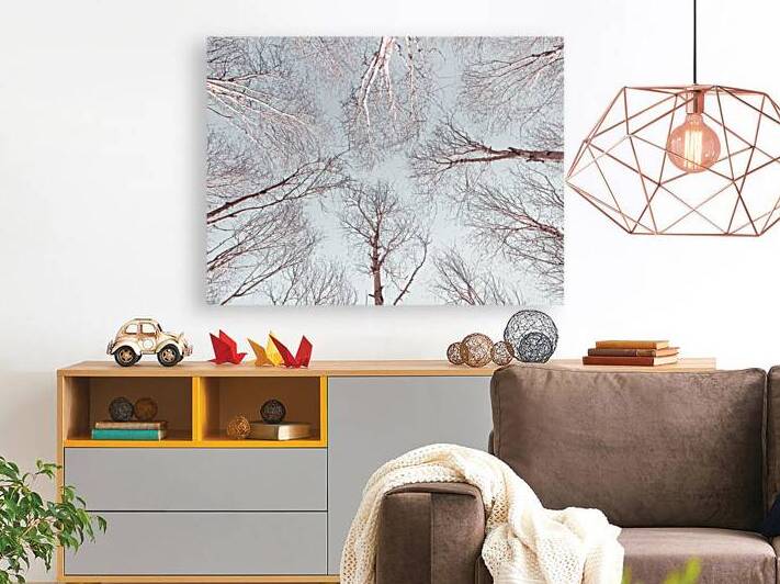 Branches Against Sky by Assaf Frank