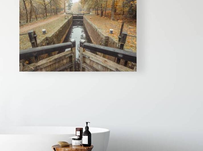Forest Lock by Assaf Frank