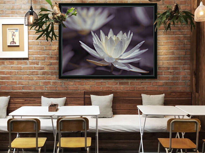 Water Lilies Reproduction