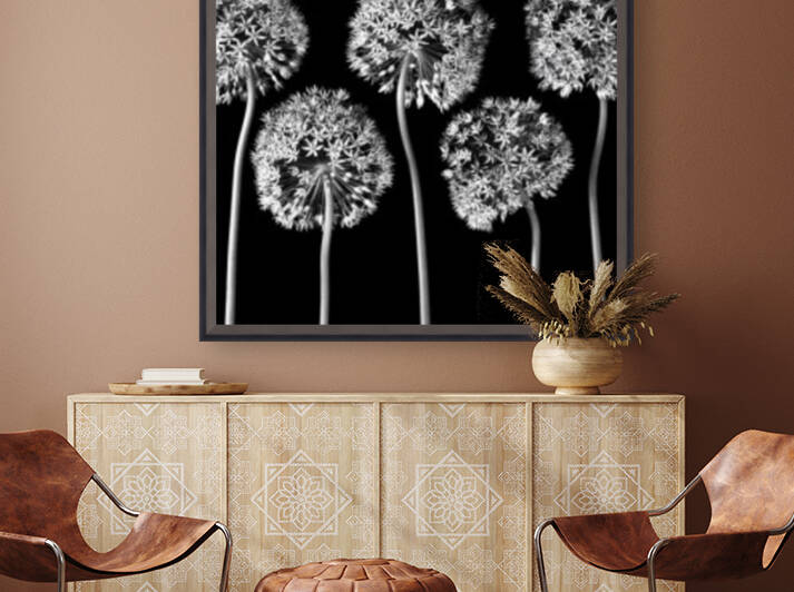 Allium flowers by Assaf Frank