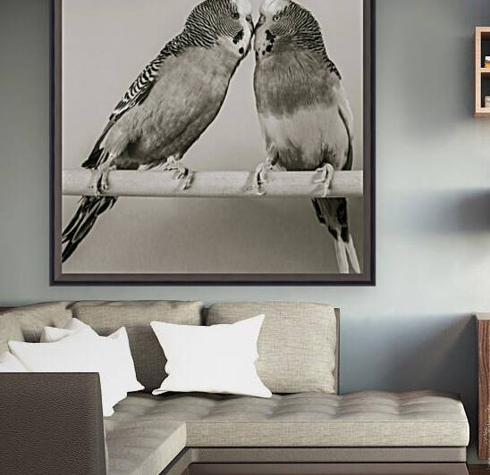 Birds Reproduction