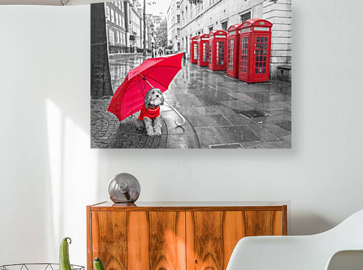 Dog with umbrella on London city street Reproduction
