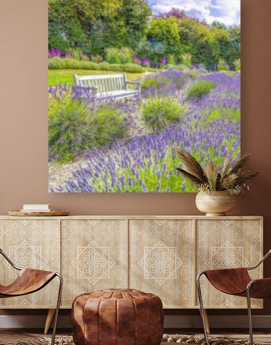 Lavender field Reproduction