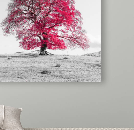 Tree on a hill, red Reproduction