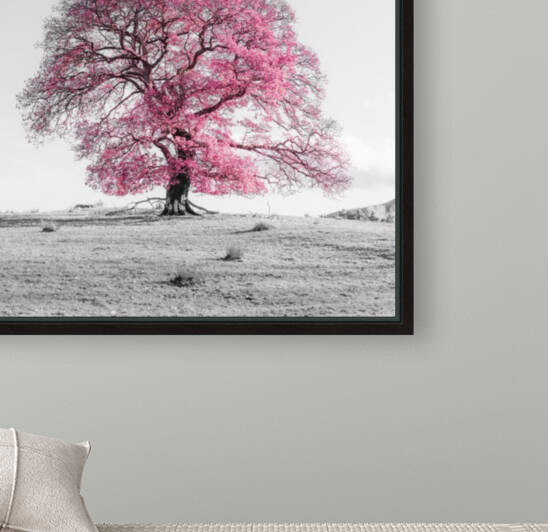 Tree on a hill, pink Reproduction
