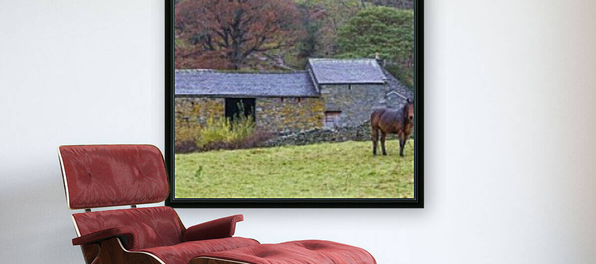 Horse in a field, Lake district, Cumbria by Assaf Frank