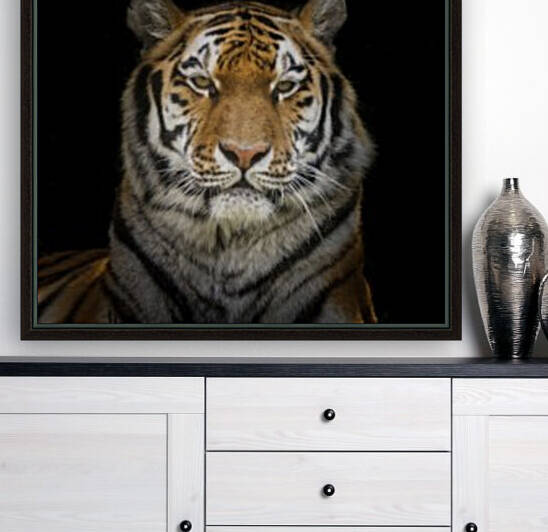Tiger face Reproduction