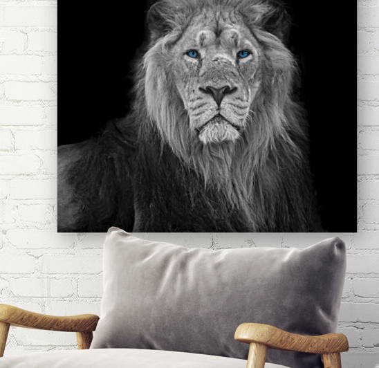 Lion face Reproduction