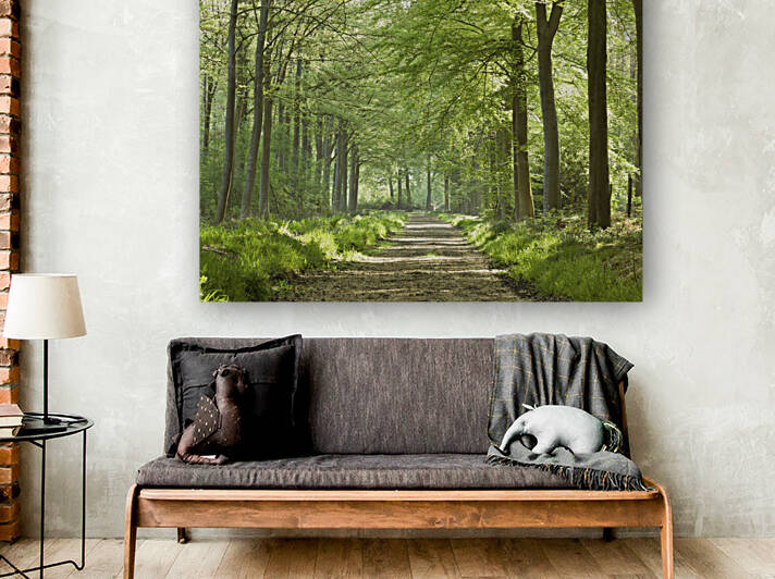 Spring Path Reproduction