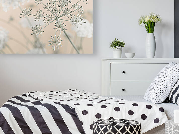 Cow parsley by Assaf Frank