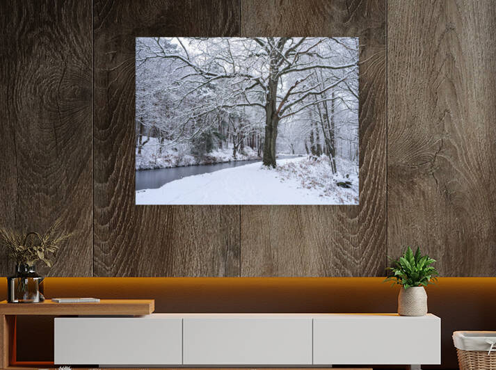 Snowy Forest Canal by Assaf Frank