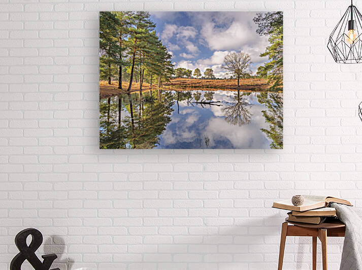 Forest Reflections Reproduction