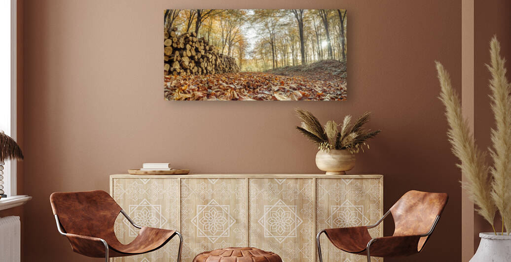 Stack of Logs in Forest by Assaf Frank