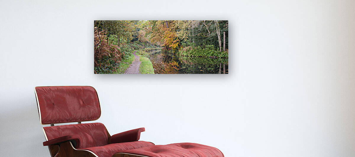 Pathway by Canal by Assaf Frank