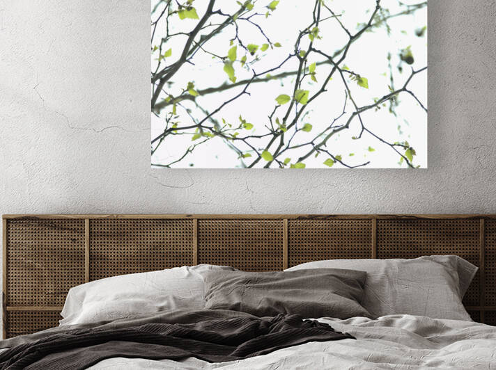 Twigs by Assaf Frank