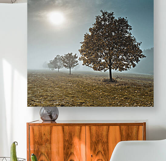 Trees in the Mist Reproduction