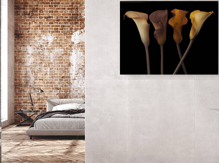 Calla Lilies by Assaf Frank