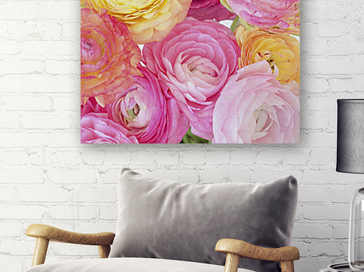 Pastel Ranunculus by Assaf Frank