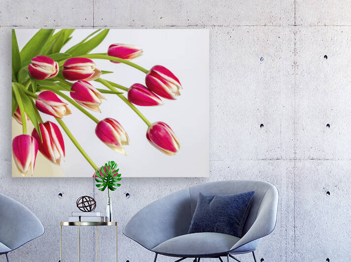 Red Tulips Reproduction