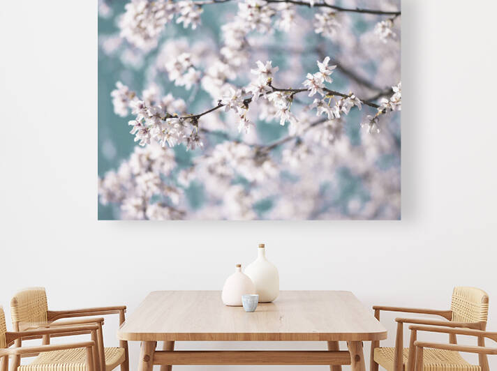 Blossoms Reproduction