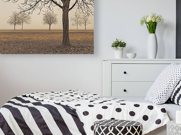 Misty Countryside Reproduction